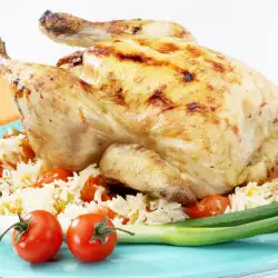 Turkish recipes with chicken