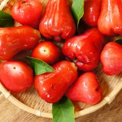 Rose Apple