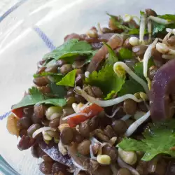 Lentil Salad with Peppers