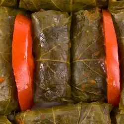 Bulgarian recipes with vine leaves