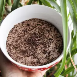 No-Bake Dessert with Cocoa