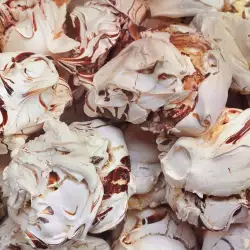 Meringues with chocolate