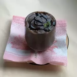 Chocolate Cream with Carob Powder