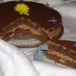 Apricot Cake with Chocolate
