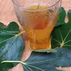 Fig Leaf Syrup