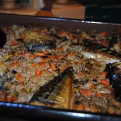 Fish Dish with Rice and Mackerel