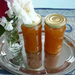 Summer recipes with apricots