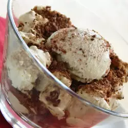 Ice Cream with Yogurt and Biscuits