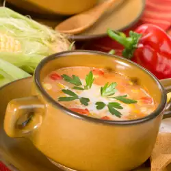 Vegetarian Soup with Carrots