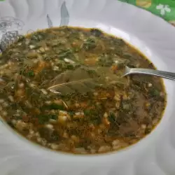 Spinach Soup with carrots