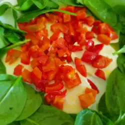 Baby Spinach and Mozzarella Salad with Honey Dressing