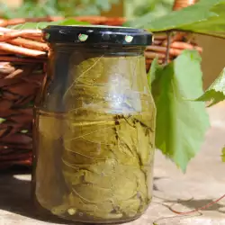 Canning Recipes with vine leaves