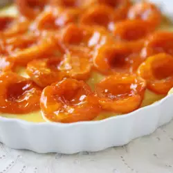 Apricot Cake with Baking Powder