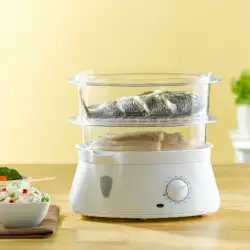 Devices for cooking with steam