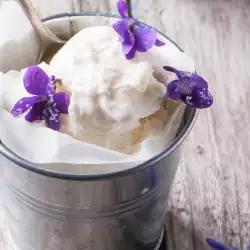 Sugar-Free Ice Cream with Vanilla