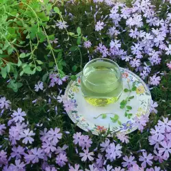 Marjoram Infusion for Good Digestion