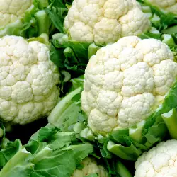 Cauliflower