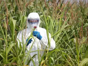 Monsanto to be Sued for Crimes Against Humanity