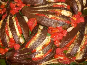 Eggplant Fan with Tomatoes