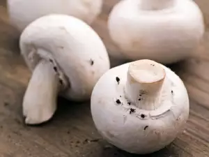 Leave your Champignons in the Sun for 1 Hour Before Cooking