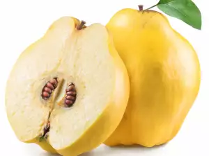 What Do Quinces Contain?