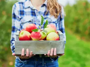 Why and How to Freeze Apples