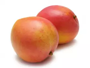 apricots