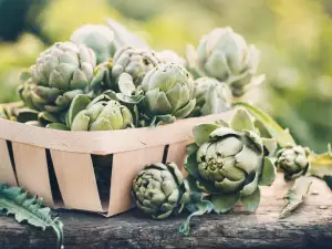 Artichoke Leaves - Benefits and Uses