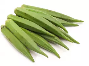 Fresh Okra