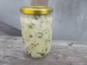 Quick Sauerkraut