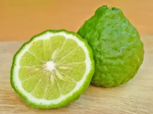 Bergamot