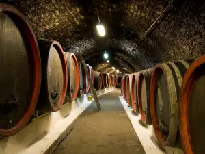 Wine Cellar