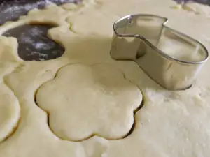 Plain Biscuit Dough