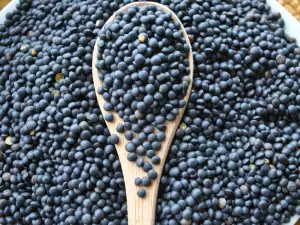 Beluga Lentils – What We Need to Know