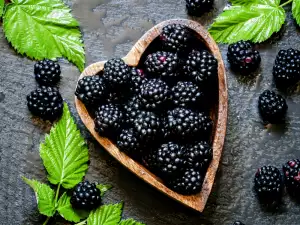 Blackberry Leaves - Benefits and Uses