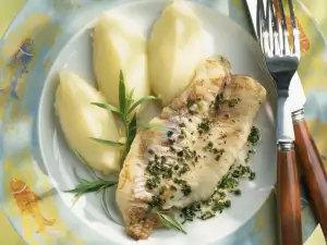 Five Recipes for Fish Fillets