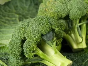 Why is it Necessary to Eat Broccoli?