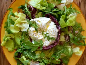 Green Salad with Burrata