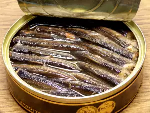 Marinated Sprat and Mackerel