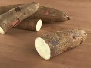 Cassava