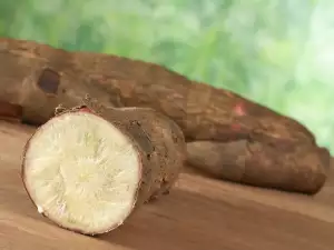 Cassava