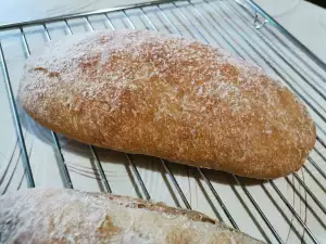 Whole Grain Ciabatta