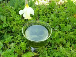 Parsley Tea for Strengthening the Bones