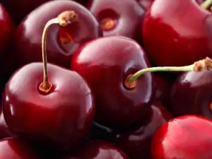 Can Cherries and Morello Cherries be Frozen?