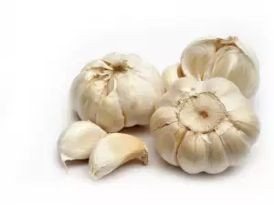 garlic