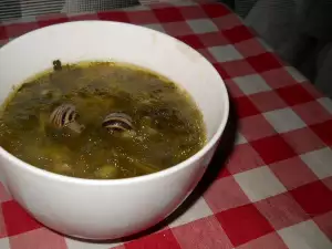 Snail and Dock Soup