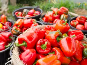 Red Peppers - Why They Are So Healthy