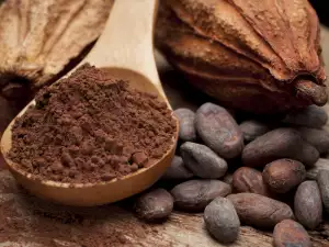 What are Cocoa Flavanols?