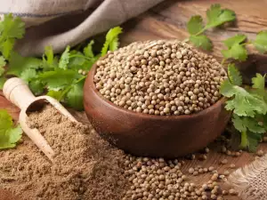 Coriander