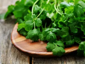 The Useful Properties of Coriander